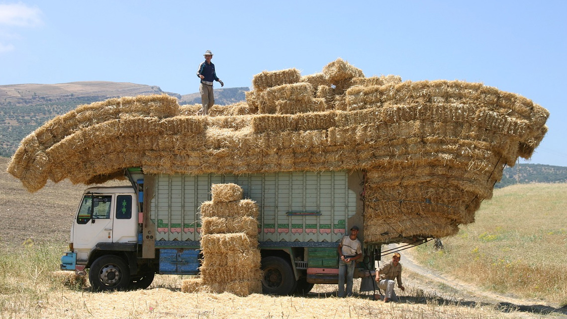 [FP043 - Morocco] The Saiss Water Conservation Project
