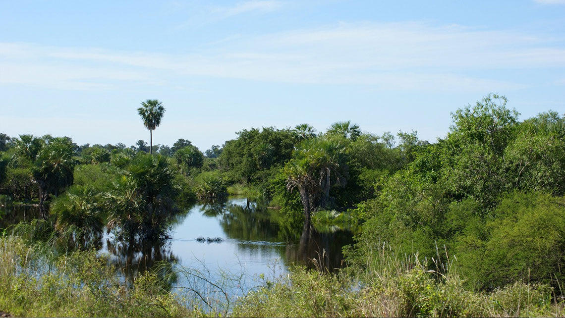 [FP121 - Paraguay] REDD+ Results-based payments in Paraguay for the period 2015-2017