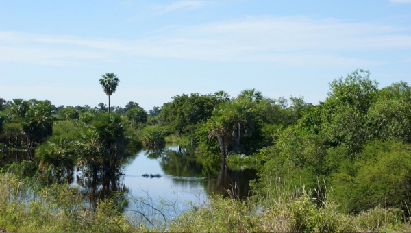 [FP121 - Paraguay] REDD+ Results-based payments in Paraguay for the period 2015-2017