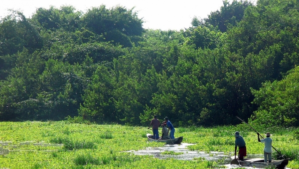 [FP134 - Colombia] Colombia REDD+ Results-based Payments for results period 2015-2016