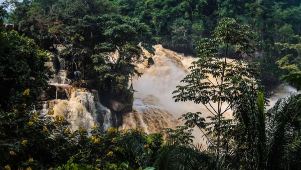 [FP159 - Congo] PREFOREST CONGO - Project to reduce greenhouse gas emissions from forests in five departments in the Republic of Congo