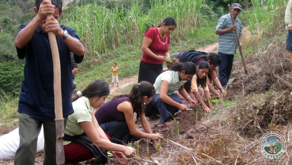 [SAP049 - Mexico] Sustainable Communities for Climate Action in the Yucatán Peninsula (ACCIÓN)