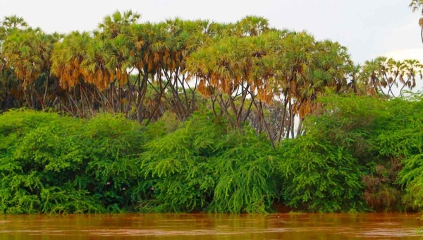 [FP246 - Somalia] Climate Resilient Agriculture in Somalia (Ugbaad)