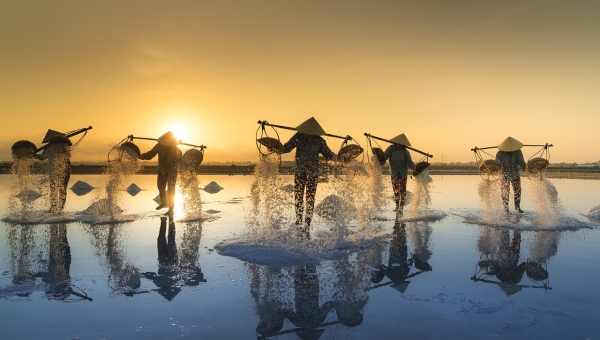 [FP250 - Vietnam] Achieving emission reduction in the Central Highlands and South Central Coast of Viet Nam to support National REDD+ Action Programme goals (RECAF)